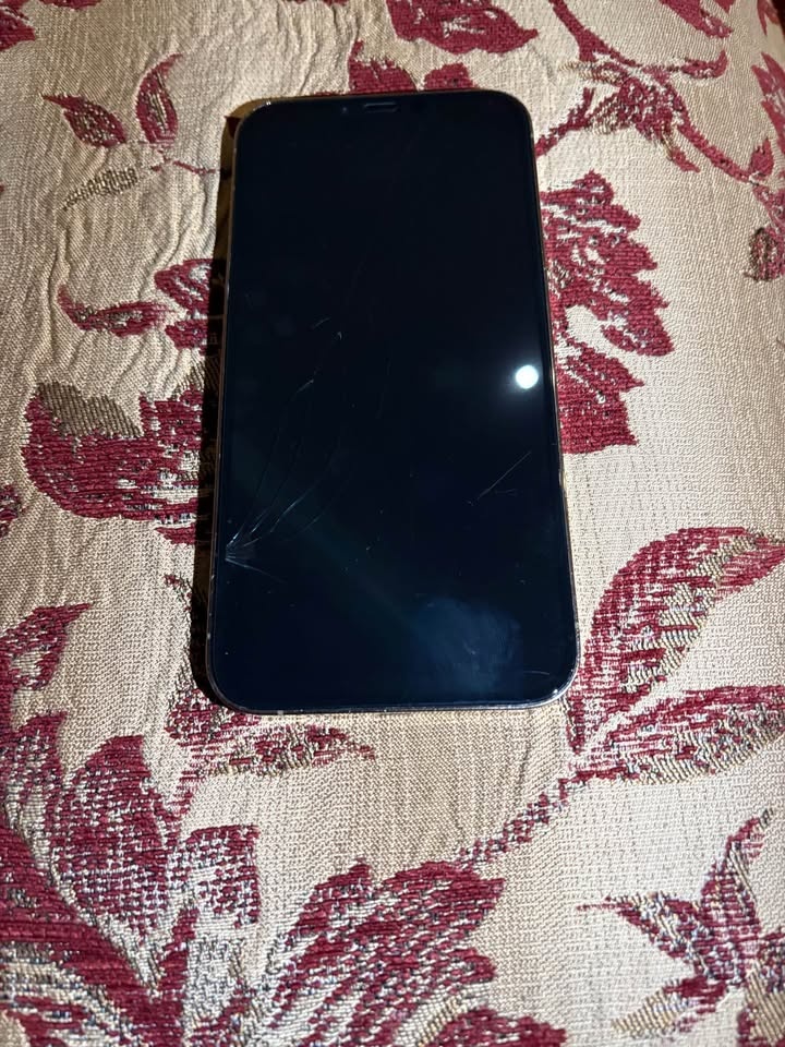 IPhone 13 Pro Max - photo 3