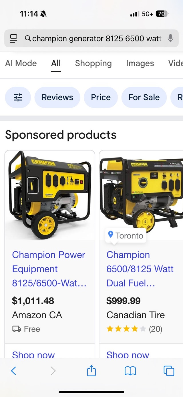 Champion 8125/6500-Watt Generator