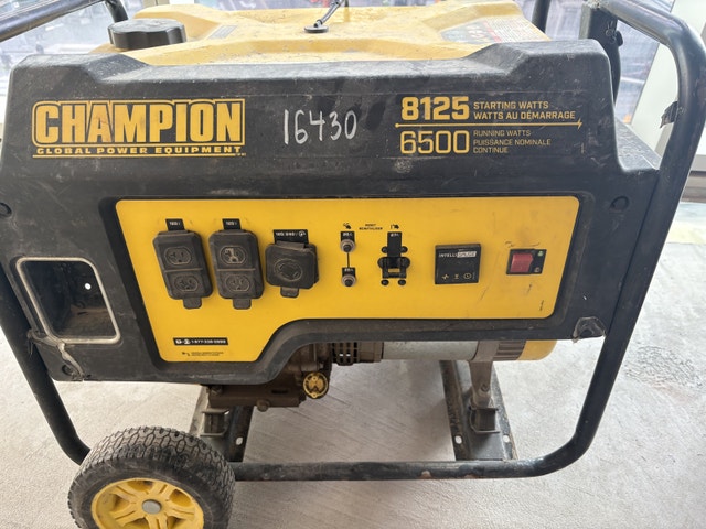 Champion 8125/6500-Watt Generator - photo 2