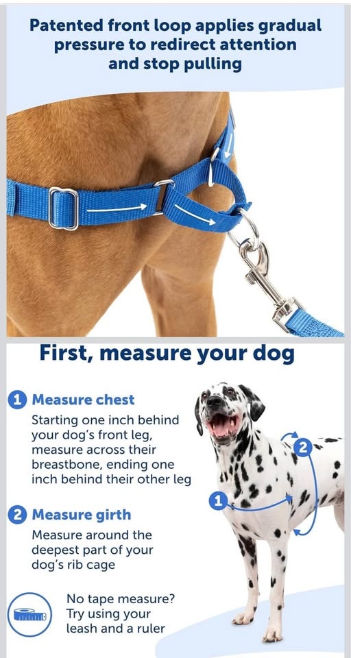 No Pull Dog Harness, Medium, Black/Silver - photo 4