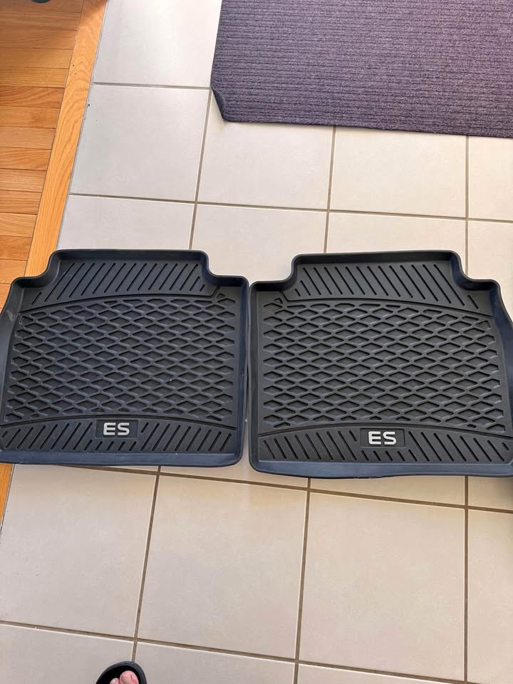 Price is firm for 2019-2025 lexus mats for model ES almost new (