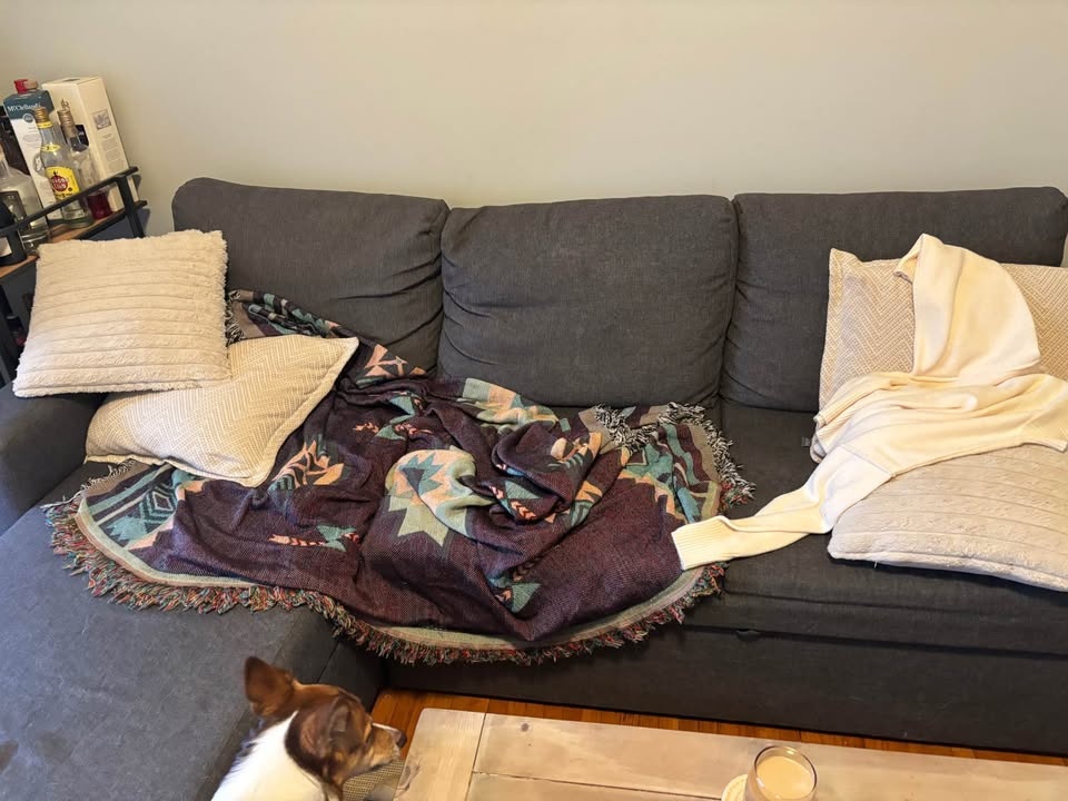 Grey Sofa Bed - photo 3