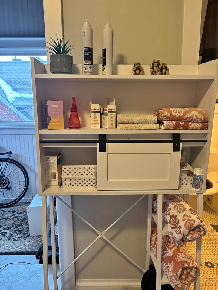 Over the Toilet Storage