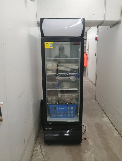 NEW AIR SINGLE GLASS DOOR MERCHANDISE FRIDGE - photo 2