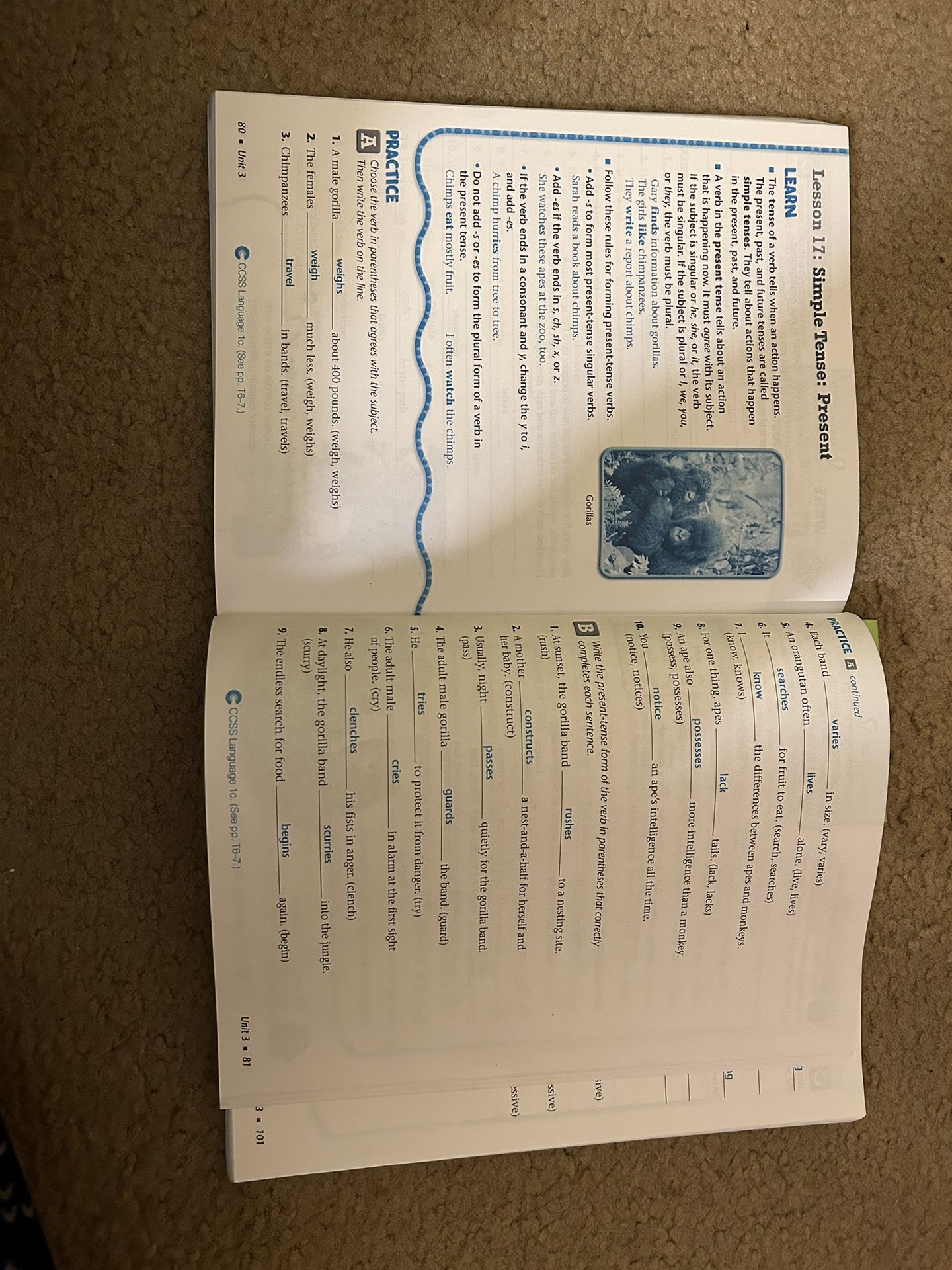 Grammar Workshop TEACHER’S EDITION - photo 3