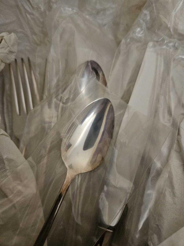 Rogers Bros. Silver-plated flatware