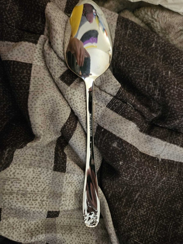 Rogers Bros. Silver-plated flatware - photo 3