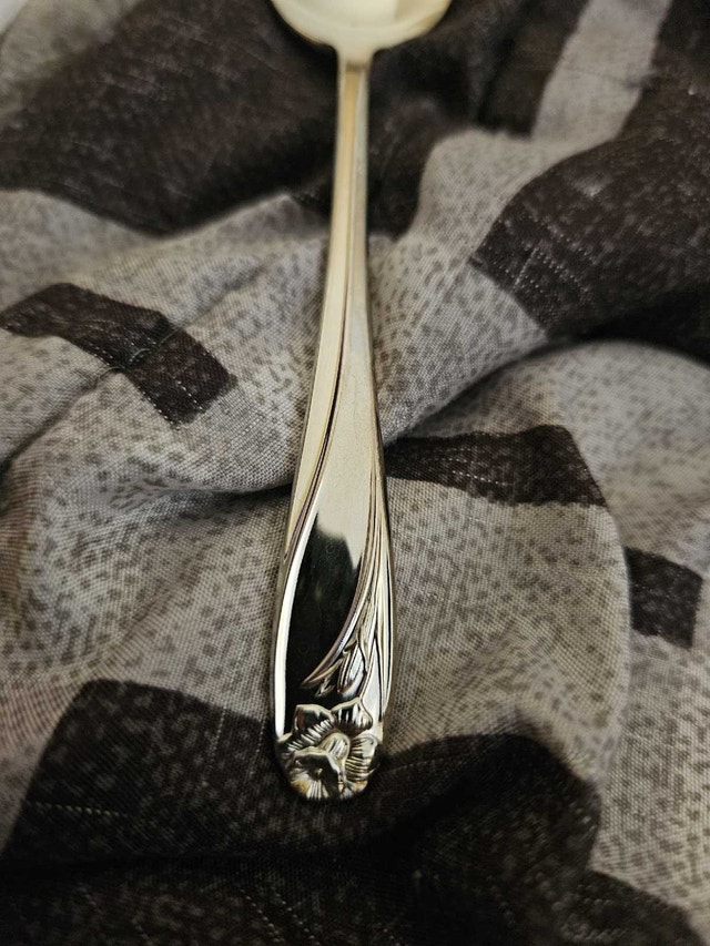 Rogers Bros. Silver-plated flatware - photo 4