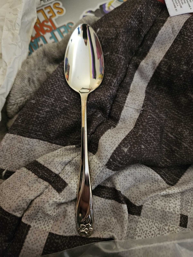 Rogers Bros. Silver-plated flatware - photo 5