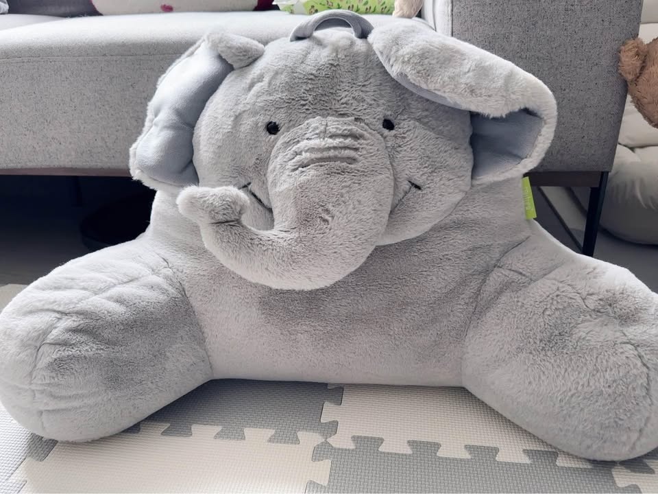 Back Pillow (Reading Pillow)
