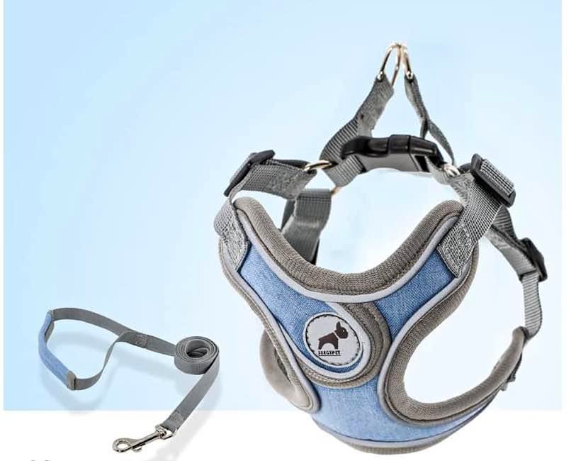 Breathable Dog Harness with Leash Medium Blue
