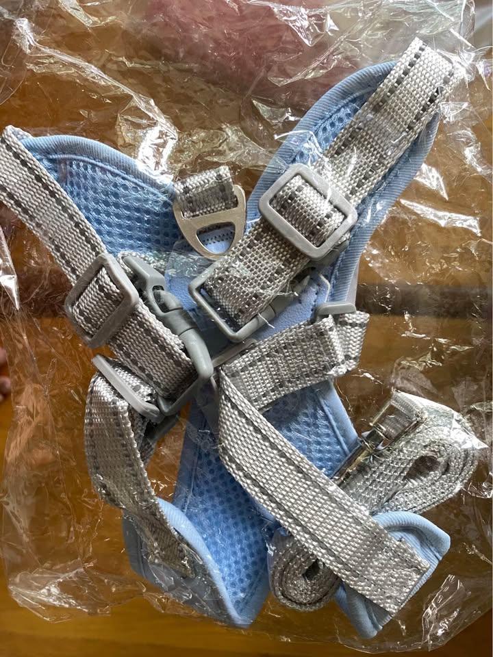 Breathable Dog Harness with Leash Medium Blue - photo 4