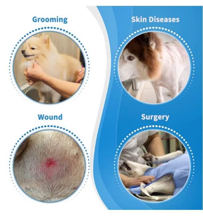 Soft Dog Cone for Dogs After Surgery - photo 2