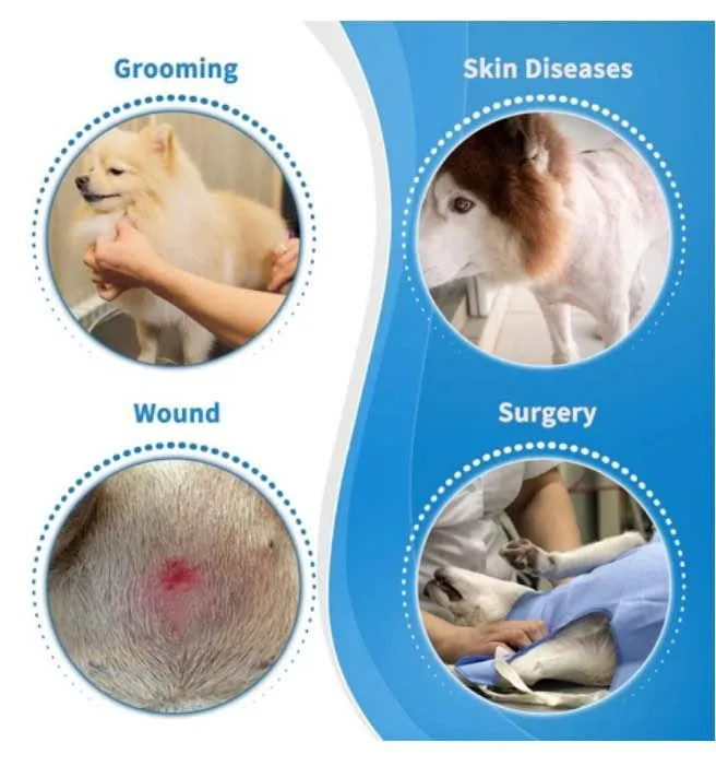 Soft Dog Cone for Dogs After Surgery image indicator(2)