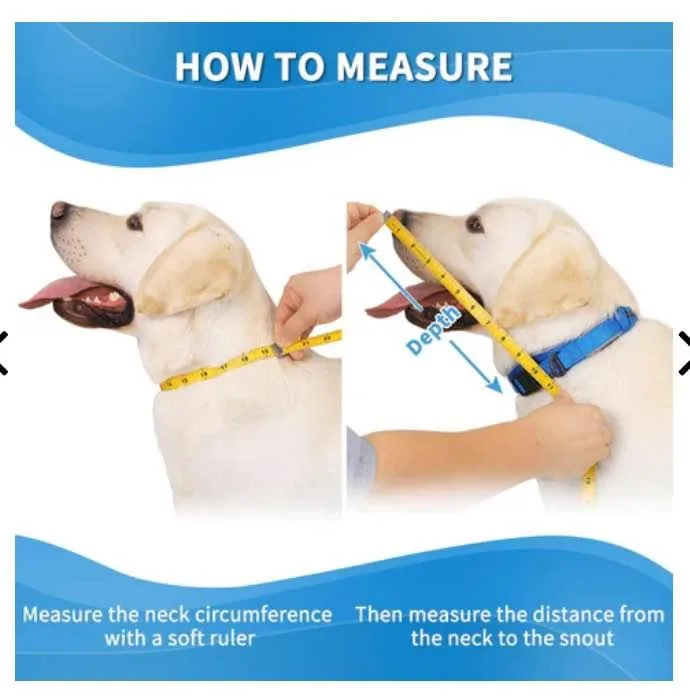 Soft Dog Cone for Dogs After Surgery image indicator(3)
