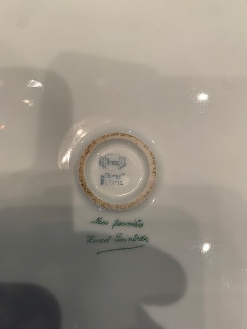 Vintage Hand Painted Bavaria Plate Mentone Roses - photo 4