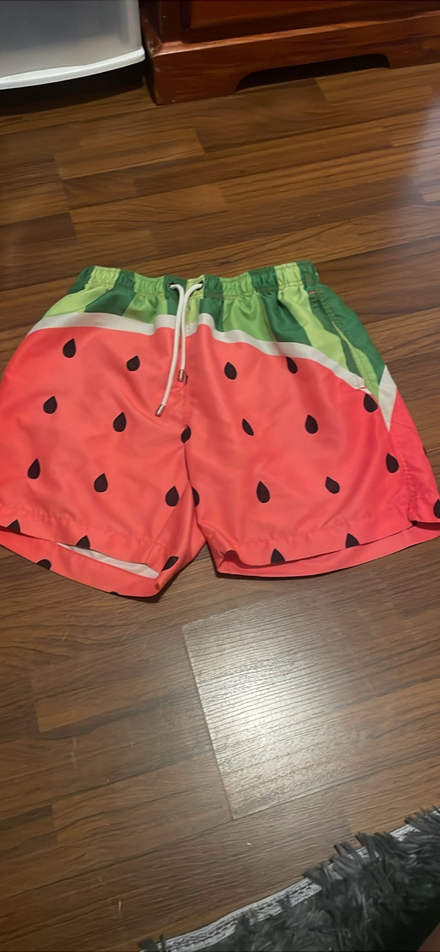 Swimming Trunks