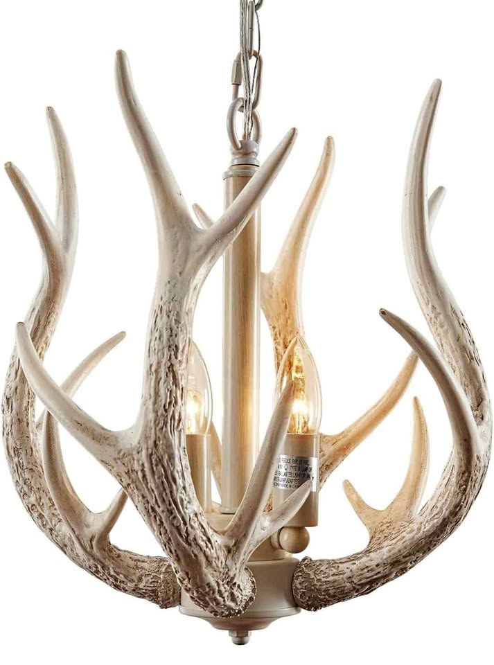 NEW Antler Chandelier