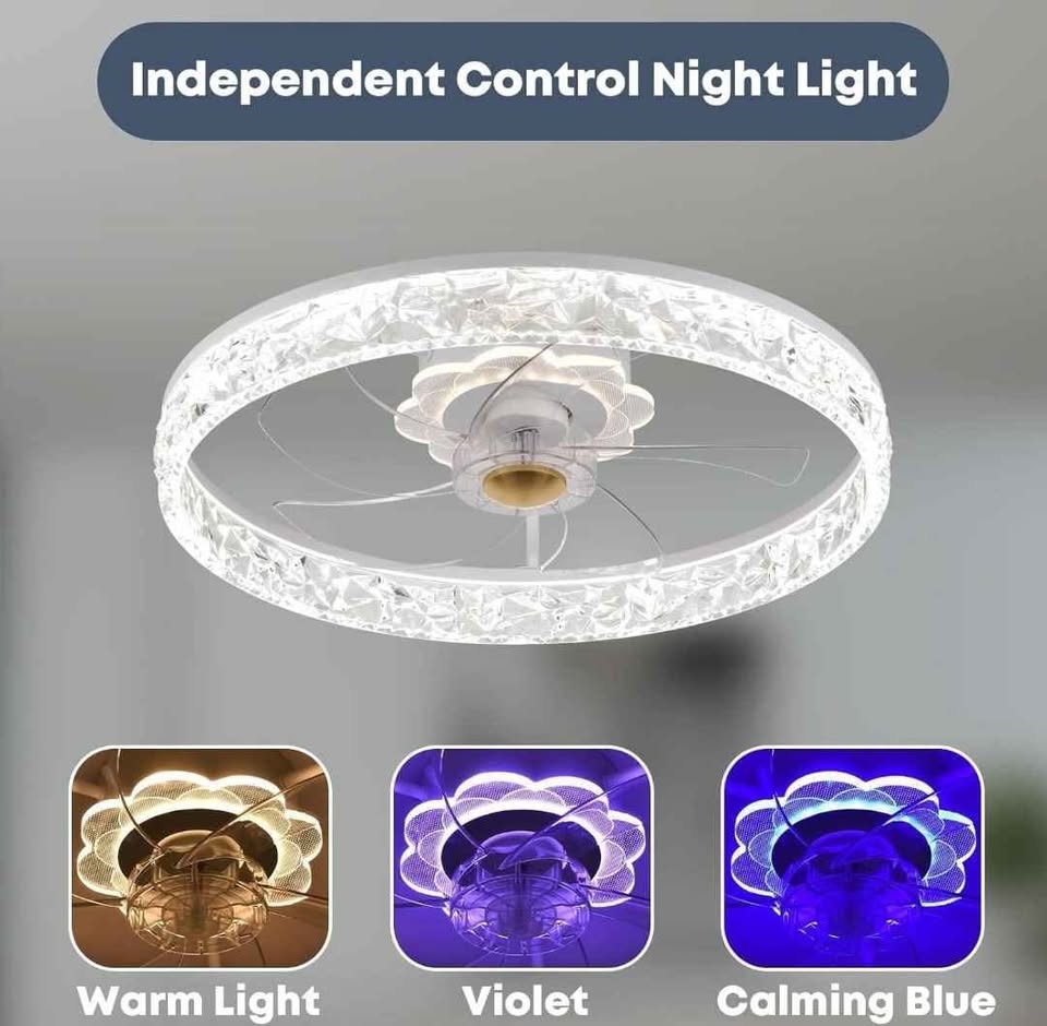 NEW Ceiling Light & Fan - photo 3