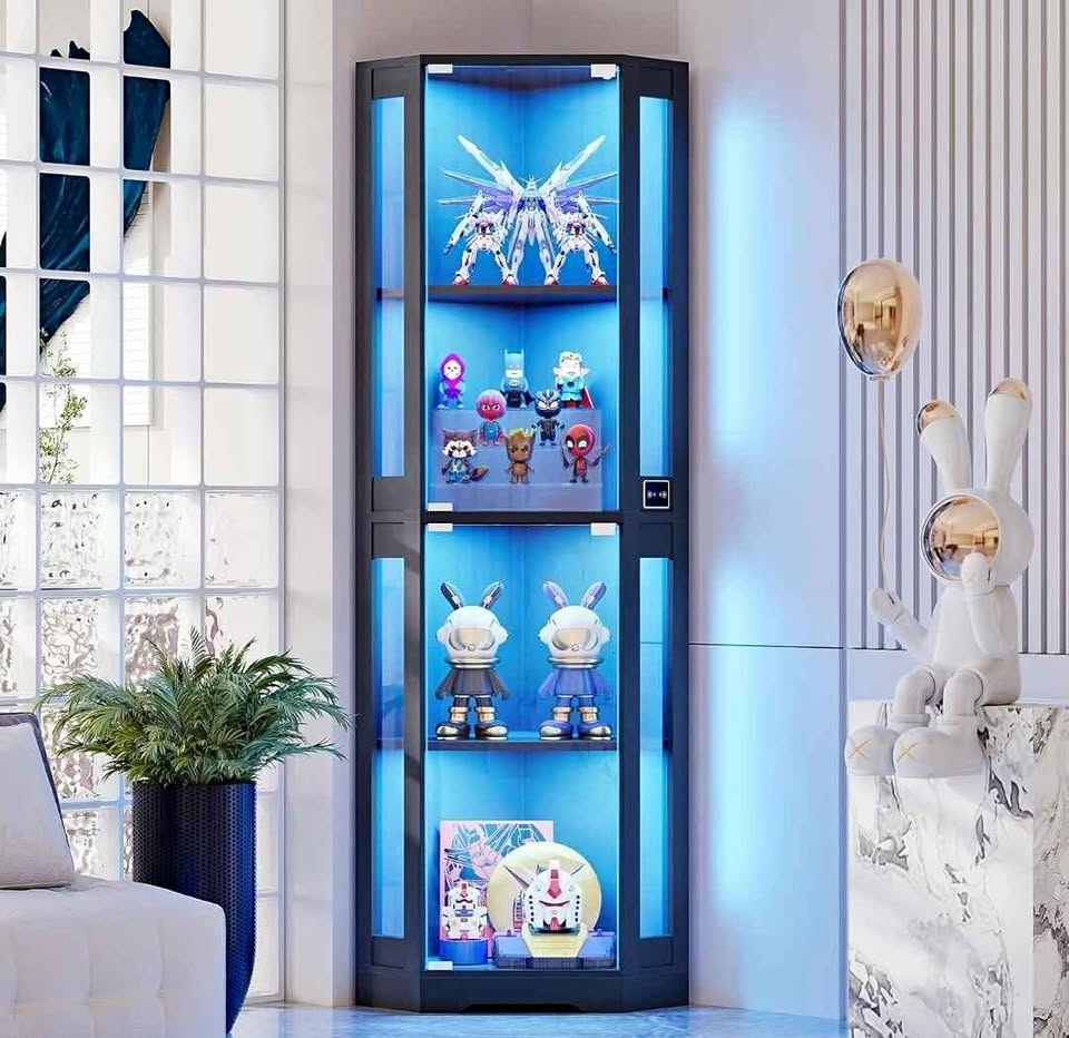NEW Display Cabinet