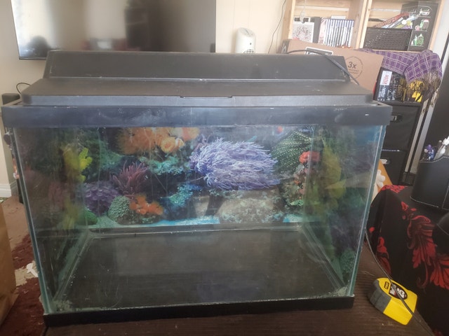 Fish tank with accessories and decorations