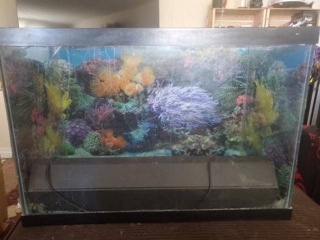Fish tank with accessories and decorations - photo 2