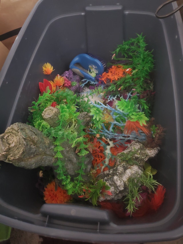 Fish tank with accessories and decorations - photo 5