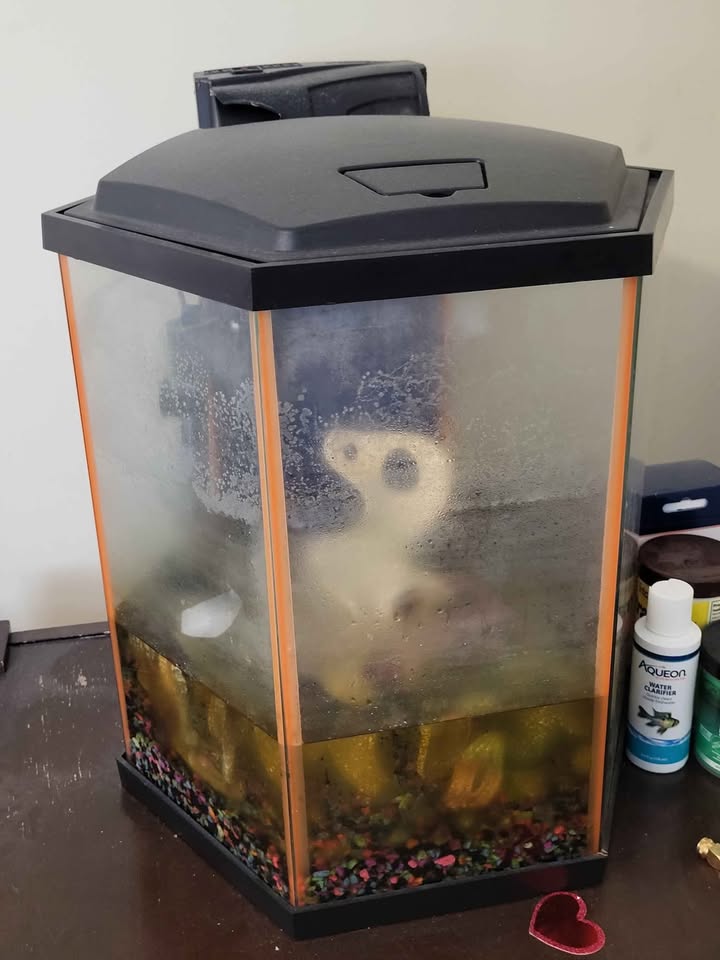 AQUEON NeoGlow Aquarium - 8 Gallon - photo 2