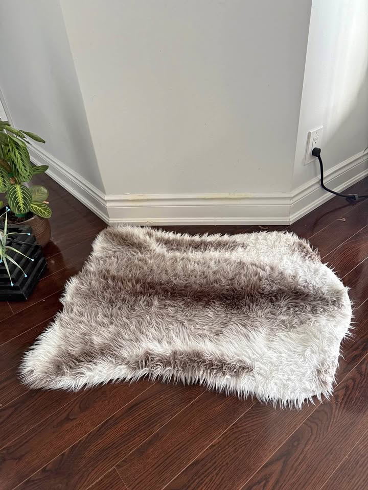 4 Rugs for sale