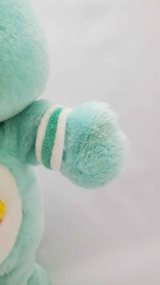 2004 Care Bears Wish Bear - photo 2