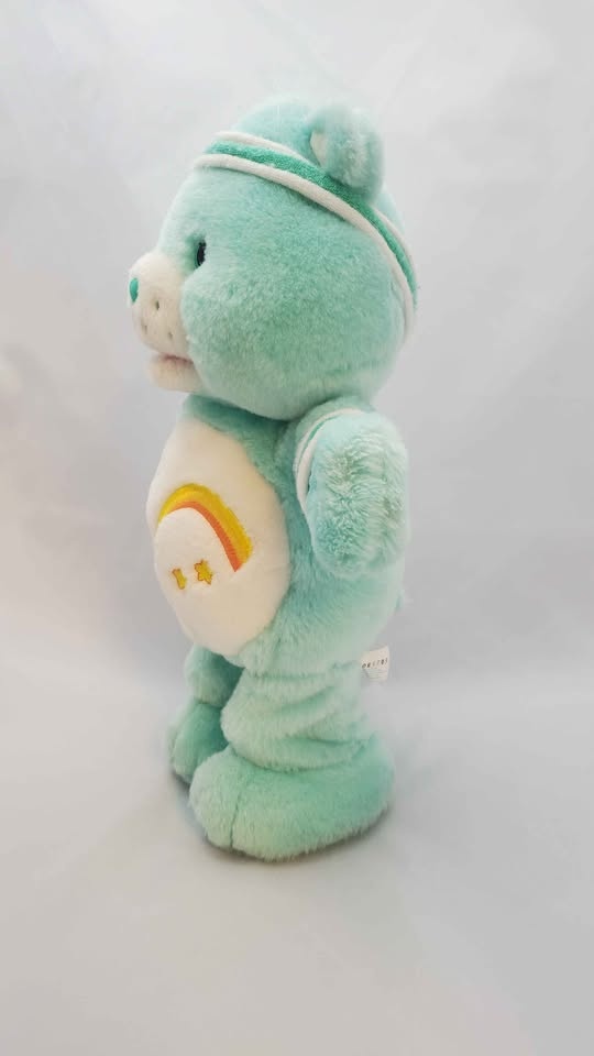 2004 Care Bears Wish Bear - photo 3