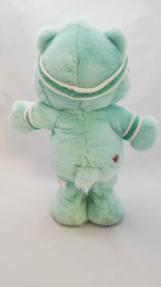 2004 Care Bears Wish Bear - photo 4