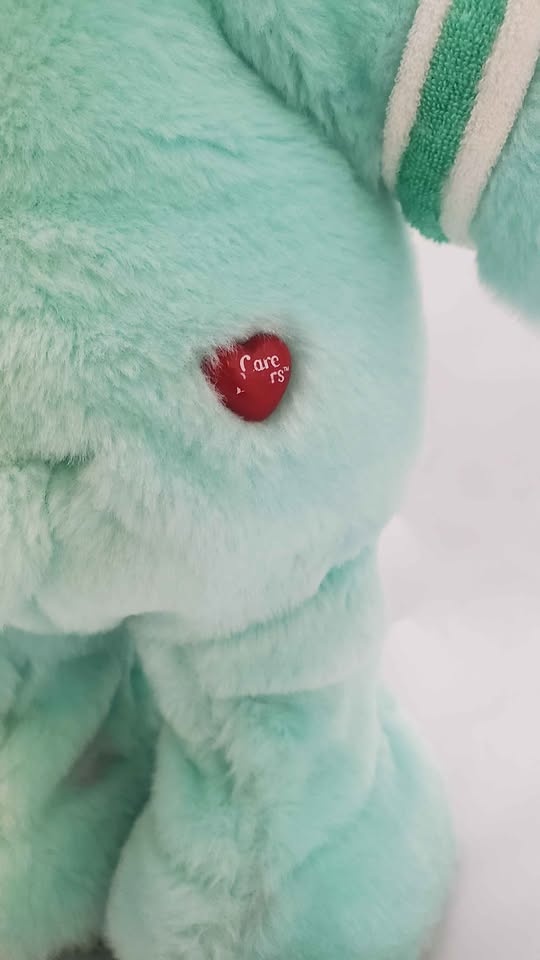 2004 Care Bears Wish Bear - photo 5