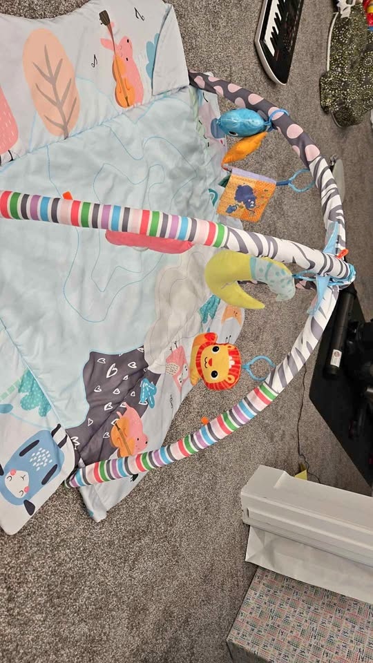 Baby playmat