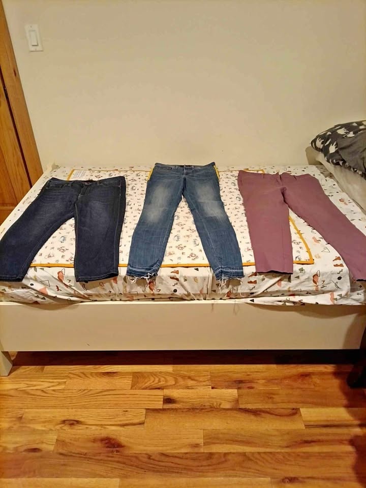 Women's pants & shorts