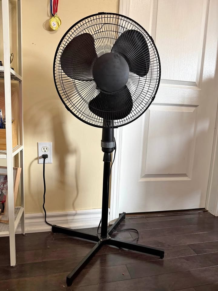 Black Standing Fan