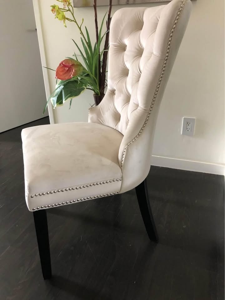 Modern Guest Chair in Off-White velvet  - New