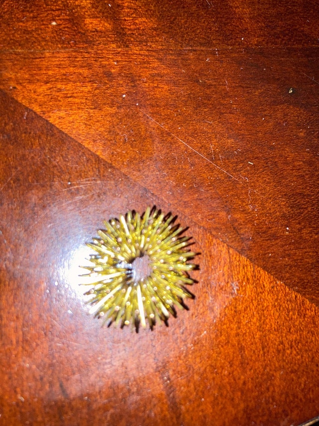 Fidget ring