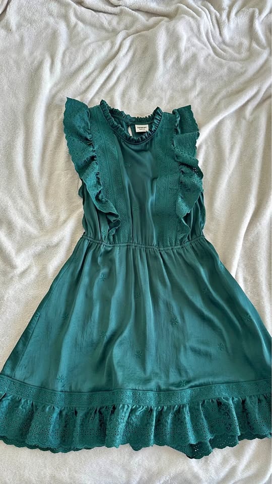 Aritzia dress for sale