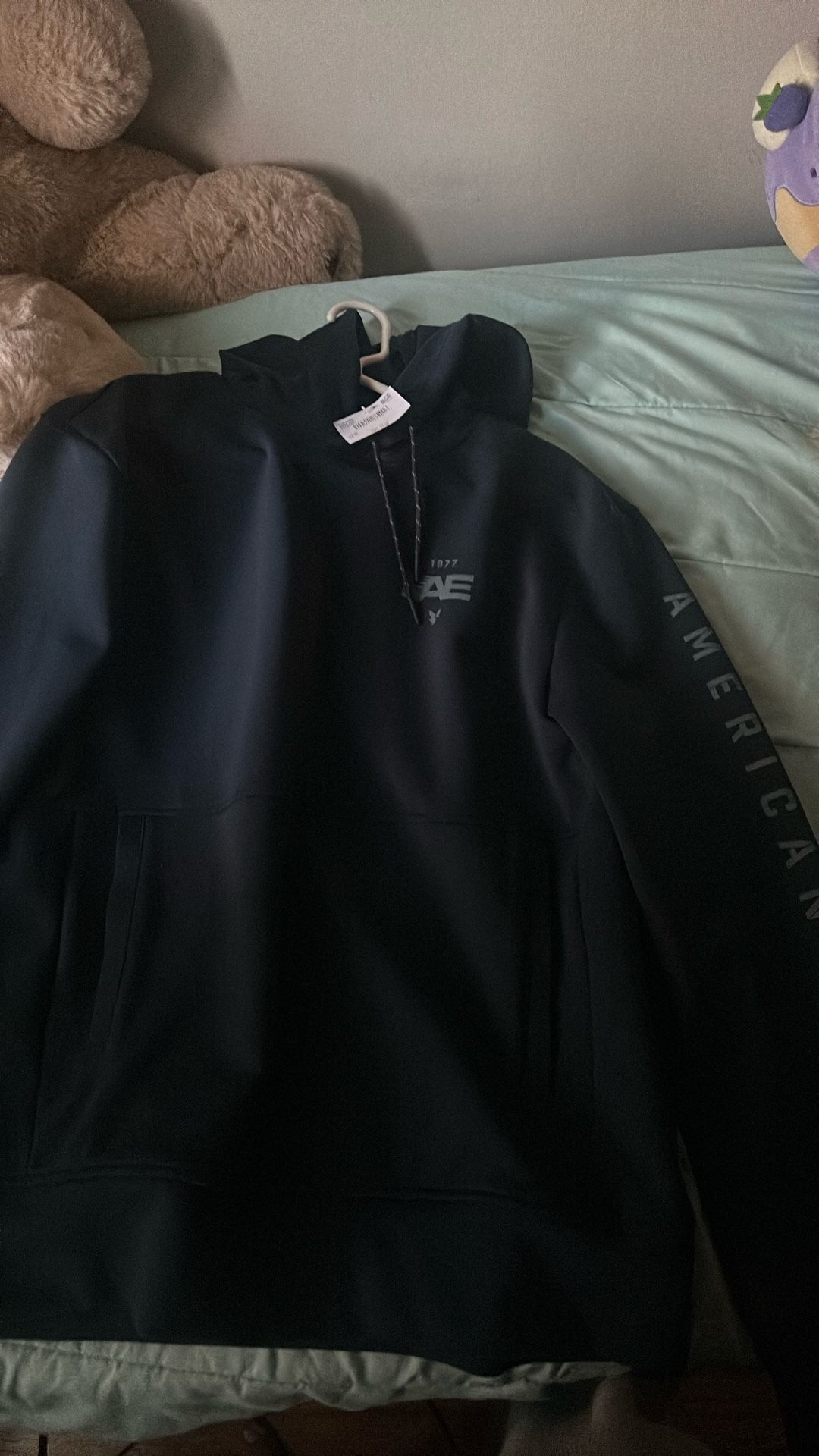 American Eagle Hoodie