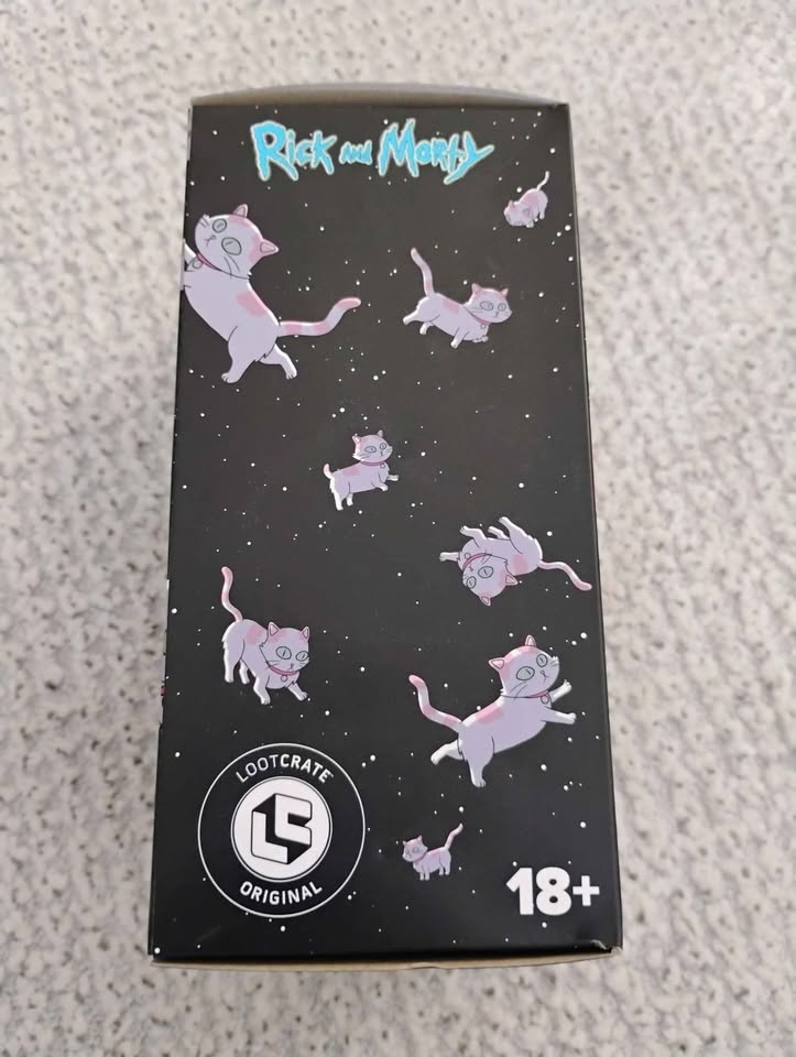 Rick and Morty Figure - photo 3