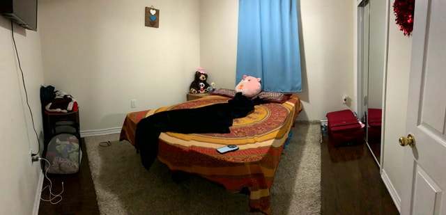 2-bedroom basement with 2-car parking for rent in Brampton - photo 4