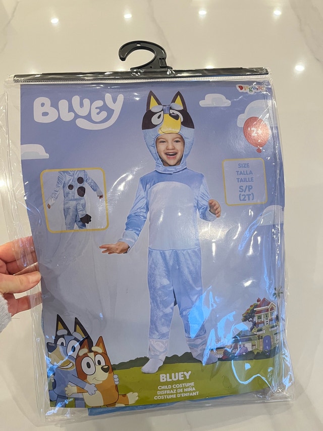 Bluey Toddler Costume