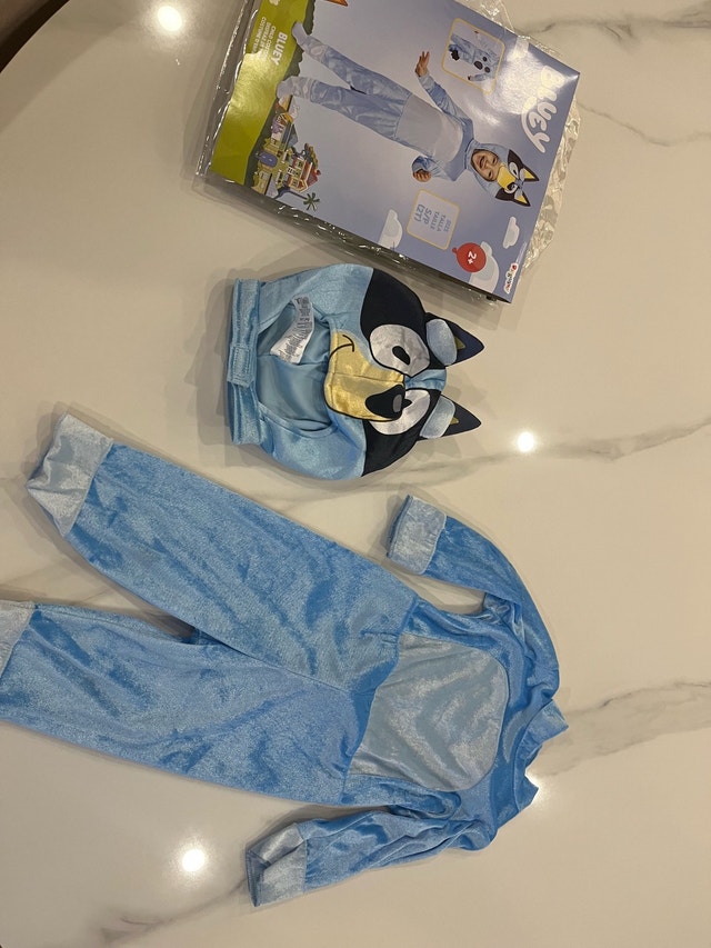 Bluey Toddler Costume - photo 2