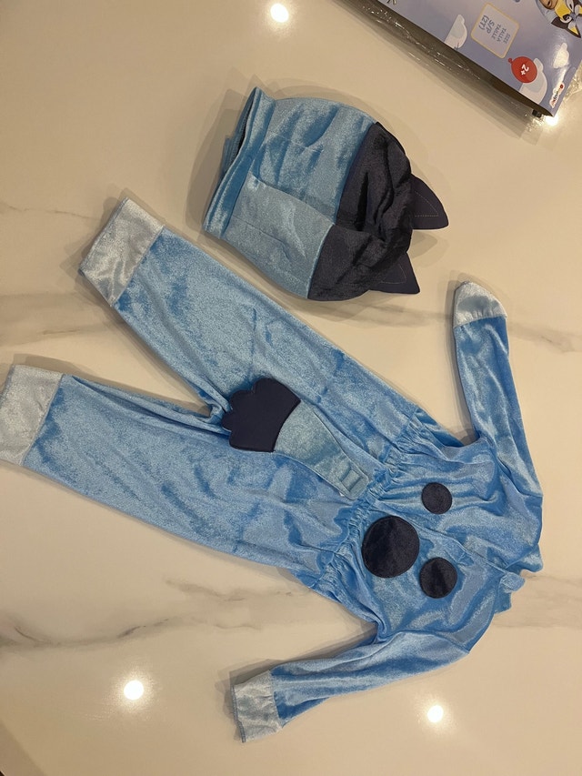 Bluey Toddler Costume - photo 3