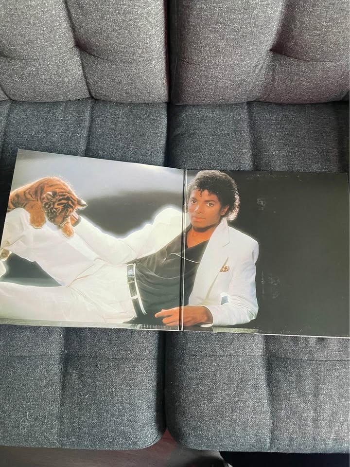 Michael Jackson – Thriller Record (1982) - photo 3