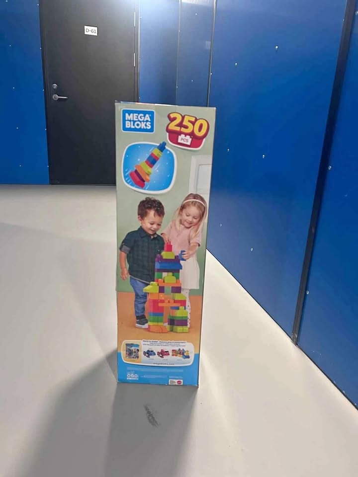 Mega Bloks Build 'n Create 250 Pcs