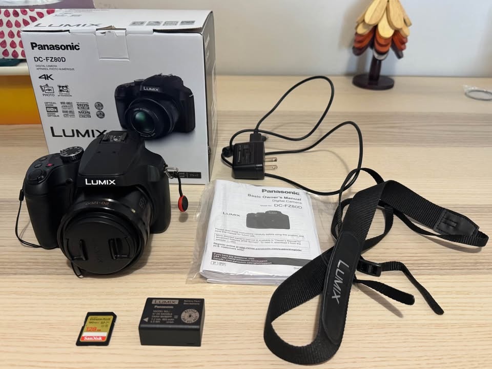 Panasonic Lumix DCFZ80DK Camera + SD card