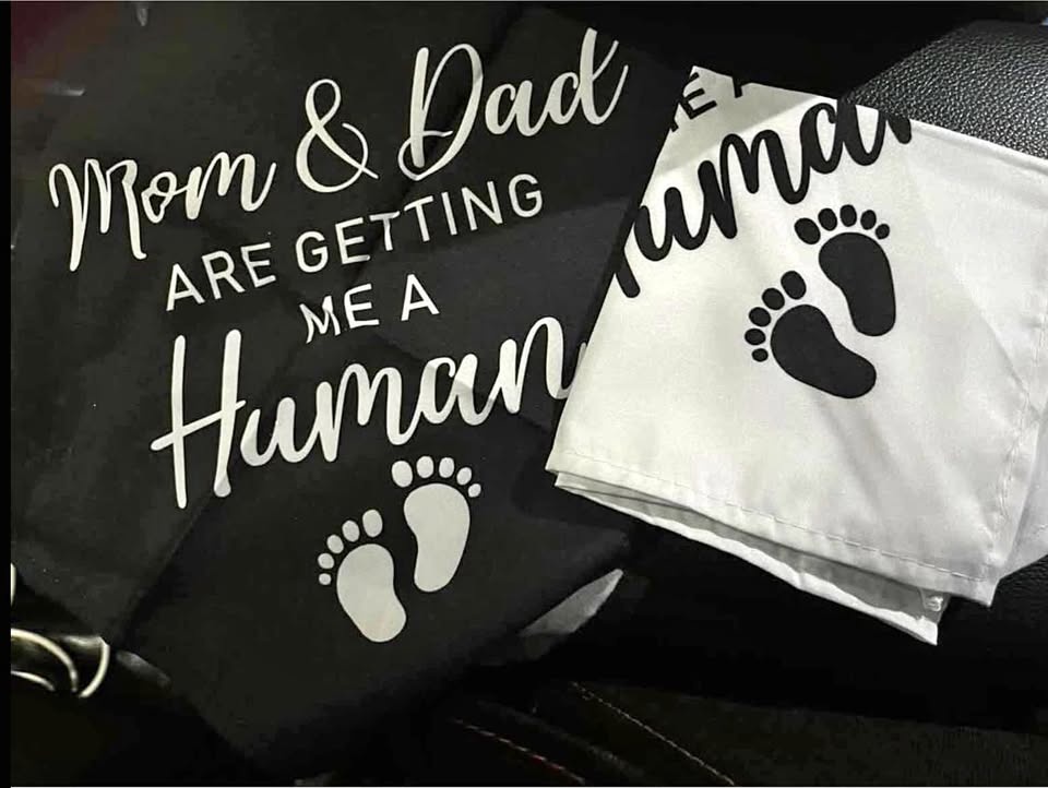 Dog Bandana Baby Announcment