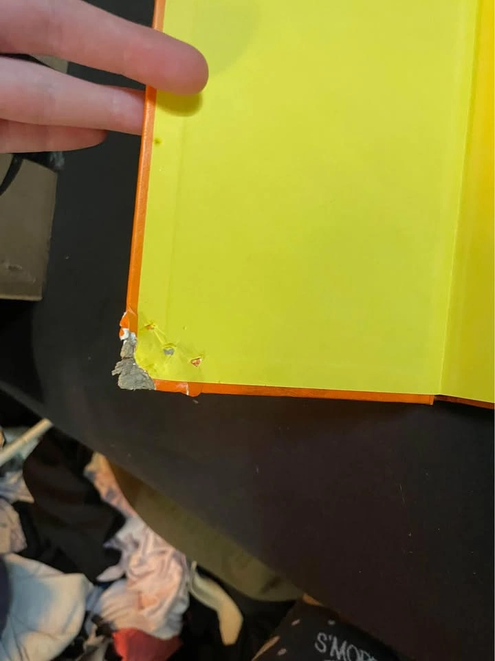 Diary of a Wimpy Kid the Long haul children’s book - photo 2